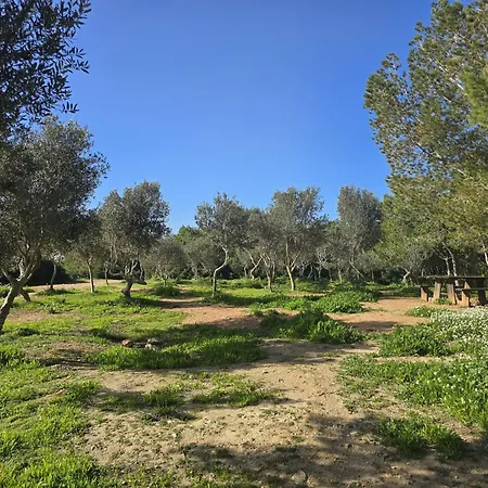 Serenity No 3 Daire *