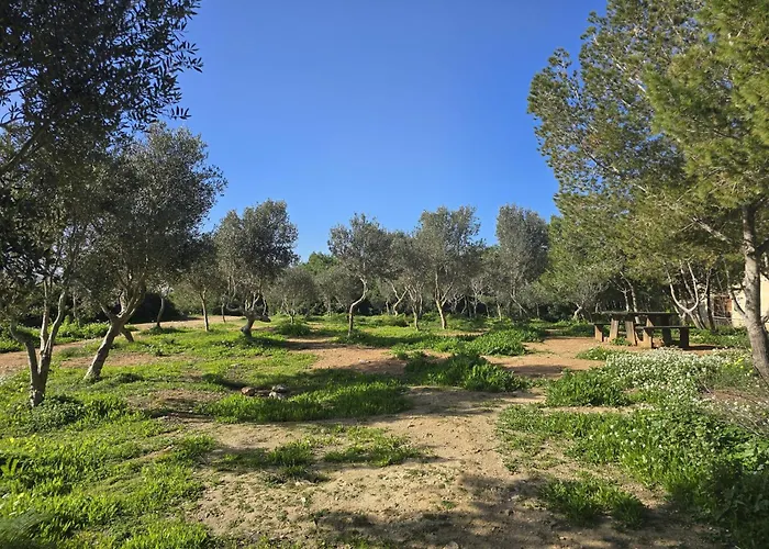 Modern 2br With Terrace Enjoying Views 3 아파트 *